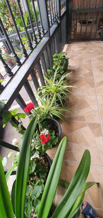 Apartment El Puente *
